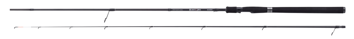 BALZER Black Jack Drop Shot 255 ML, 2.55m 4-22g